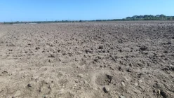 Satılır torpaq sahəsi72.22 sot, Masallı