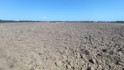 Satılır torpaq sahəsi72.23 sot, Masallı