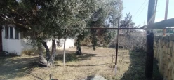 Satılır torpaq sahəsi25 sot, Görədil q.