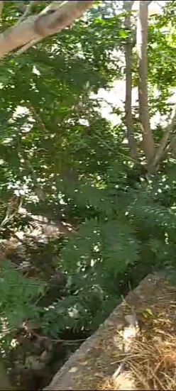 Satılır torpaq sahəsi3 sot, Nəsimi m.