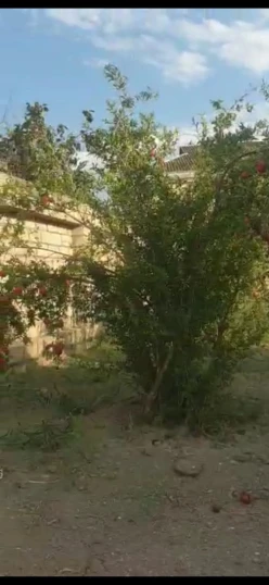 Satılır ev/villa 6 otaqlı 600 m², Yevlax