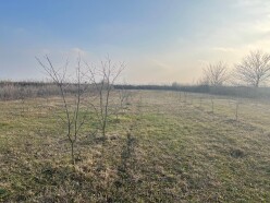 Satılır torpaq sahəsi 75 sot,  Göyçay