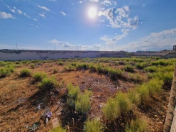 Satılır torpaq sahəsi36 sot, Şağan q.