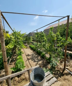 Satılır yeni tikili 4 otaqlı 180 m², Buzovna q.-3