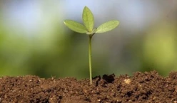 Satılır torpaq sahəsi12 sot, Mərdəkan q.