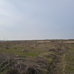 Satılır torpaq sahəsi 100 sot,  Hövsan