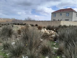 Satılır torpaq sahəsi4 sot, Saray q.