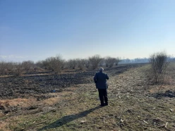 Satılır torpaq sahəsi71 sot, Qax