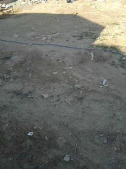 Satılır torpaq sahəsi2.5 sot, Badamdar q.