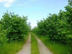 Продан Объект 12500 m²,  Худат