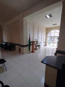 İcarə ofis 6 otaqlı 230 m², Gənclik m.