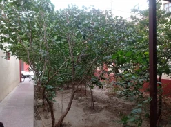 Satılır torpaq sahəsi8 sot, İçəri Şəhər m.