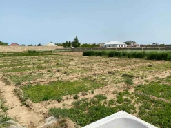 Satılır torpaq sahəsi22 sot, Sabunçu r.