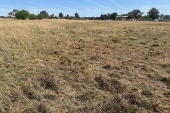 Satılır torpaq sahəsi 100 sot,  Suraxanı