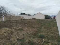 Satılır torpaq sahəsi 12 sot, Qala Satılır torpaq sahəsi 12 sot, Qala
