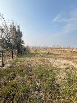 Satılır torpaq sahəsi 64 sot,  Göyçay