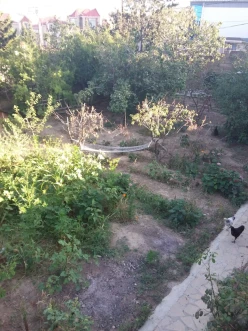 Satılır torpaq sahəsi3.2 sot, Badamdar q.