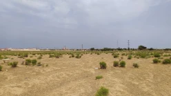 Satılır torpaq sahəsi250 sot, Sabunçu r.