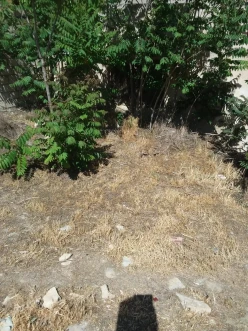 Satılır torpaq sahəsi4 sot, Badamdar q.