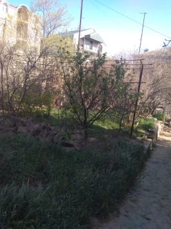 Satılır torpaq sahəsi5 sot, Badamdar q.