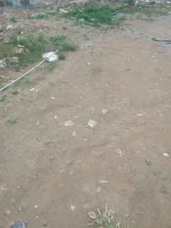 Satılır torpaq sahəsi5 sot, Badamdar q.