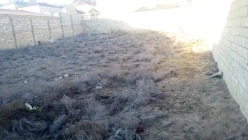 Satılır torpaq sahəsi6 sot, Badamdar q.