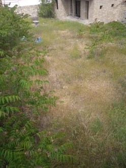 Satılır torpaq sahəsi5.4 sot, Badamdar q.