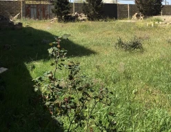 Satılır torpaq sahəsi3.5 sot, Badamdar q.