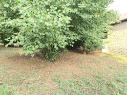 Satılır torpaq sahəsi 45 sot,  Qəbələ