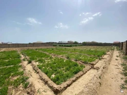 Satılır torpaq sahəsi22 sot, Sabunçu r.