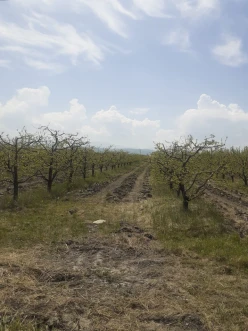 Satılır torpaq sahəsi51 sot, Quba