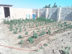 Satılır torpaq sahəsi3 sot, Saray q. Satılır torpaq sahəsi3 sot, Saray q.