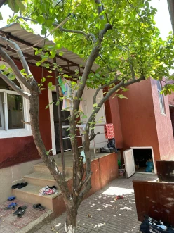 Satılır ev/villa 3 otaqlı 78 m²,  Masazır