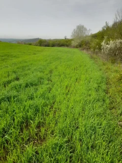 Satılır torpaq sahəsi400 sot, İsmayıllı