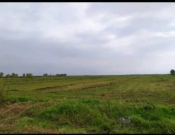 Satılır torpaq sahəsi171 sot, Əhmədli m.