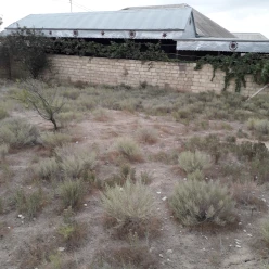 Satılır torpaq sahəsi4 sot, Saray q.