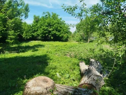 Satılır torpaq sahəsi 10 sot,  İsmayıllı