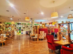 İcarə obyekt 750 m², Nəsimi r.