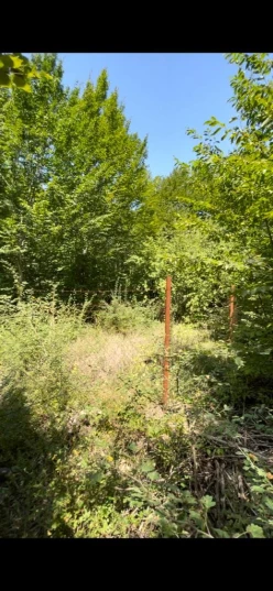 Satılır torpaq sahəsi10 sot, Quba