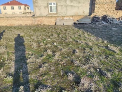 Satılır torpaq sahəsi10 sot, Hövsan q.