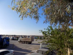 Satılır torpaq sahəsi586 sot, Hökməli q.