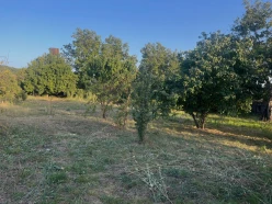 Satılır torpaq sahəsi 10 sot,  İsmayıllı