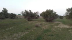 Satılır torpaq sahəsi108 sot, Buzovna q.
